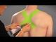 Kinesio-Band KT, das Schulter-zurückanwendungssatzes der Streifen Eignungs-Hochleistungsbänder des vorgeschnittenen muskulöse aufnimmt fournisseur